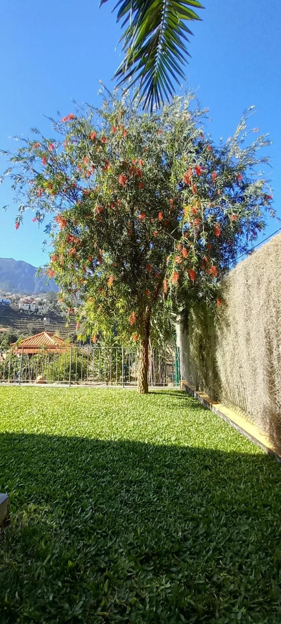 Refugio Do Limoeiro Villa São Vicente Dış mekan fotoğraf