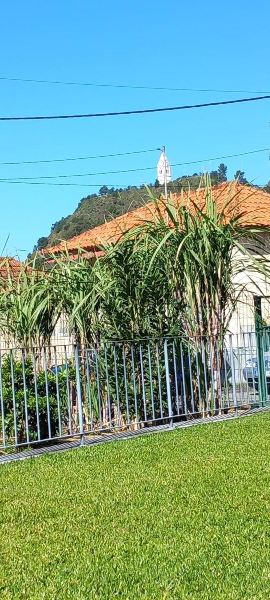 Refugio Do Limoeiro Villa São Vicente Dış mekan fotoğraf