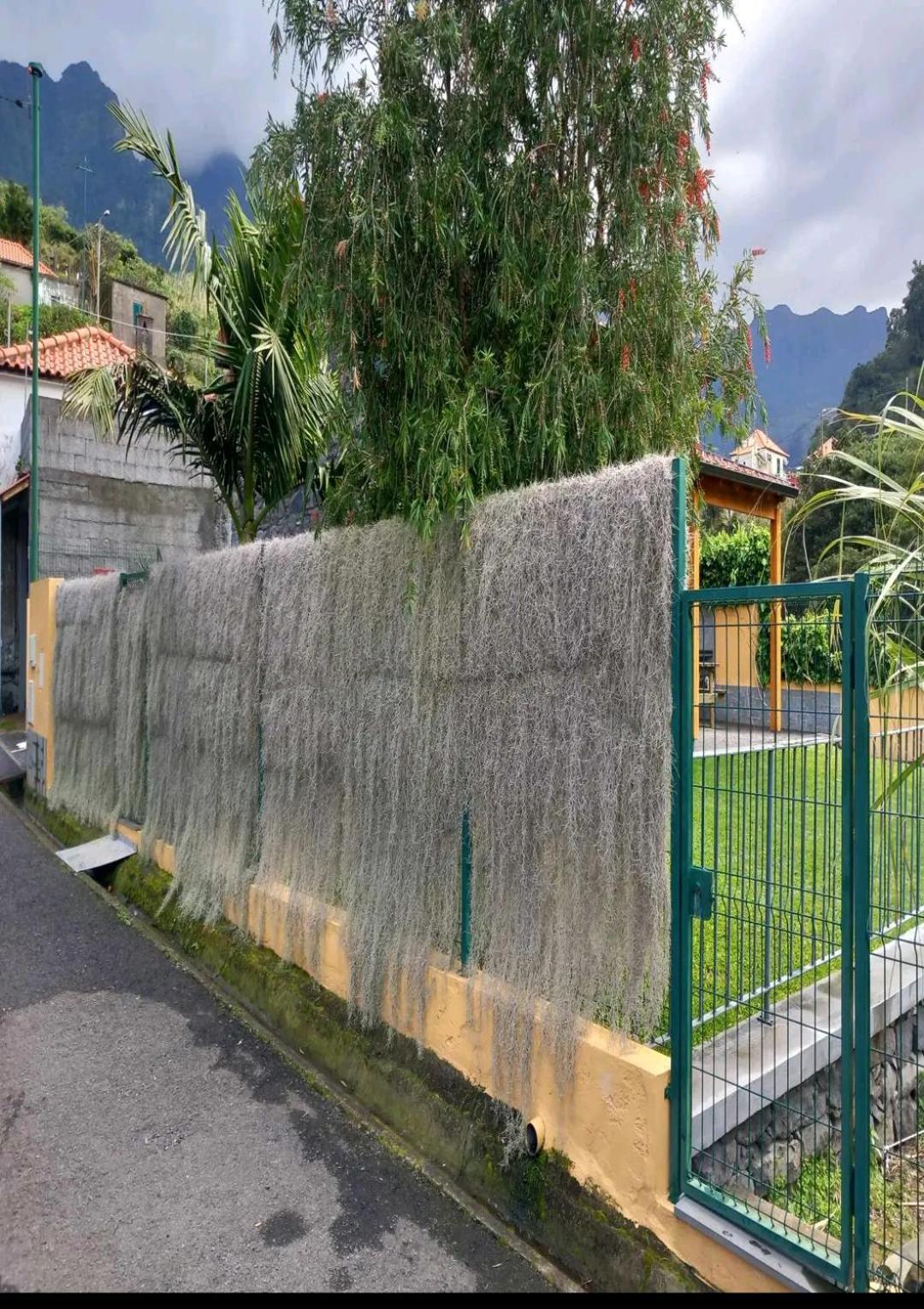 Refugio Do Limoeiro Villa São Vicente Dış mekan fotoğraf